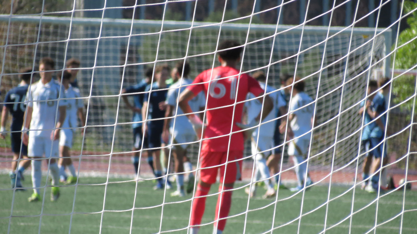 Essential Sunscreen Lotion