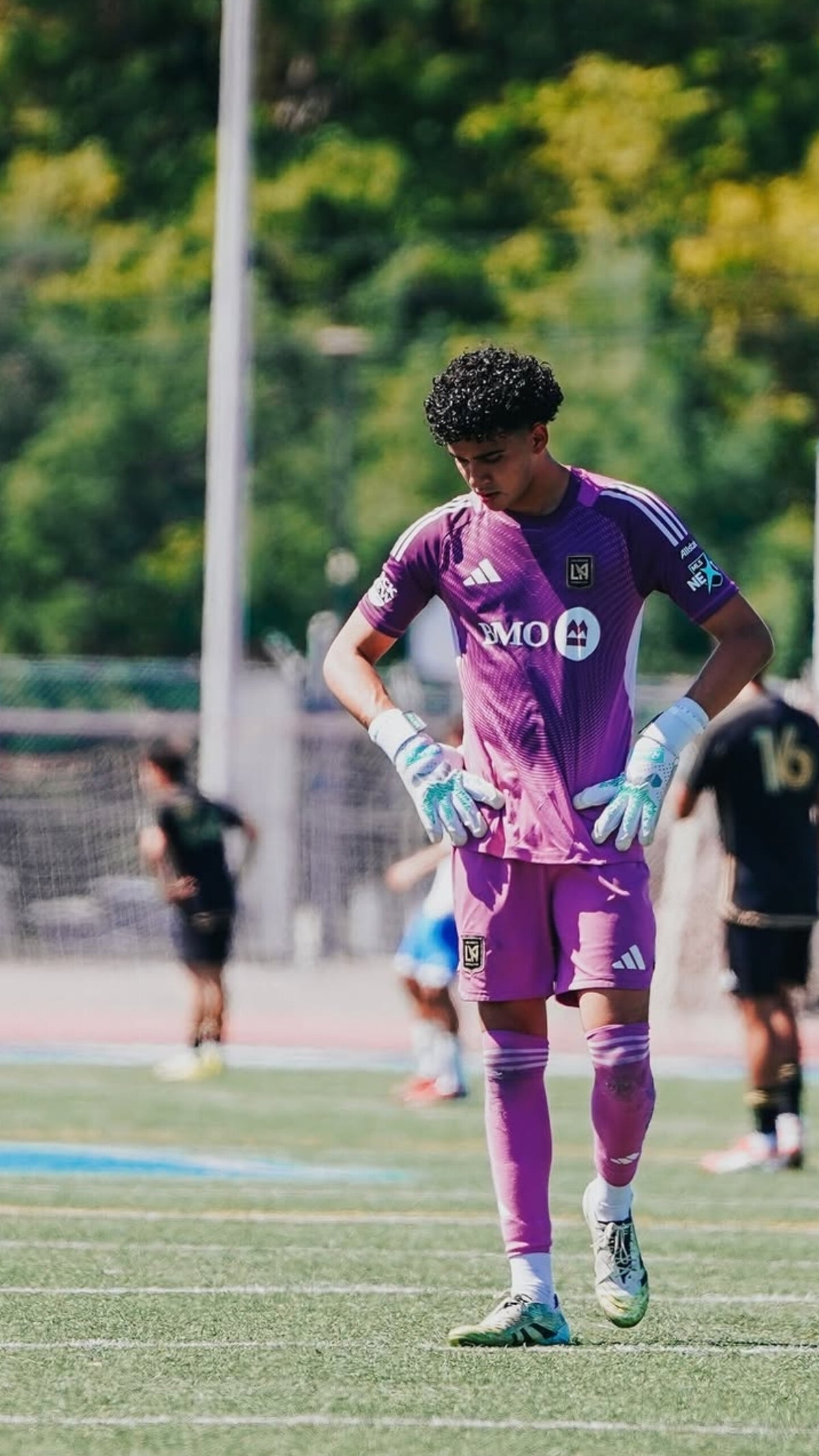 James Romero wearing a purple MLS Next LAFC Academy kit with VISION gloves by RANK Goalkeeping, stands on a green turf field, looking down. Other players and trees are blurred in the background.