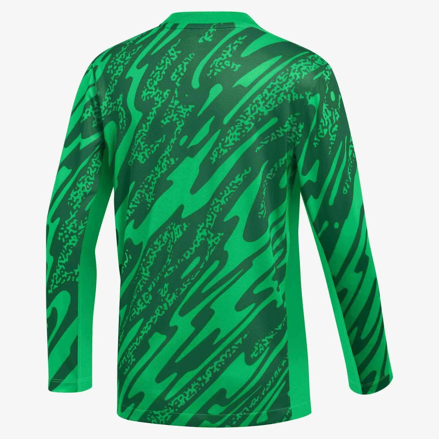 Nike Youth Gardien V LS Goalkeeper Jersey